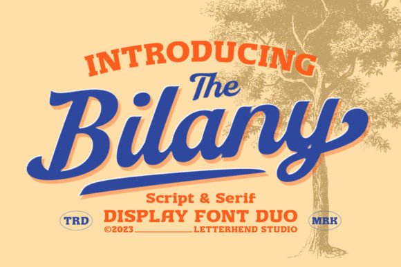 The Bilany Font Duo for Editorial Headlines and Display